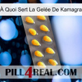 À Quoi Sert La Gelée De Kamagra cialis1